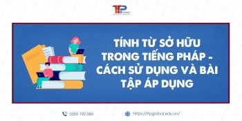 Tính từ sở hữu trong tiếng Pháp - Cách dùng và Bài tập áp dụng