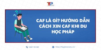 CAF Là Gì? Hướng Dẫn Cách Xin CAF Khi Du Học Pháp